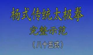 杨氏太极拳85式每一式的意念 杨式太极拳85式