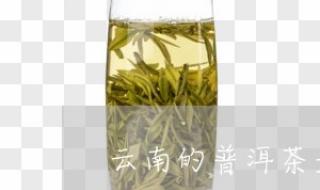 普洱茶属于什么茶,普洱茶属于六大茶类中的什么茶 普洱茶是一种什么茶