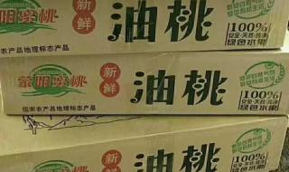 中通快递怎样查询单号 中通快递号查询