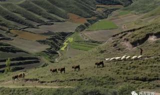 我的世界如何生存出生在村庄旁边 我生在一个小山村