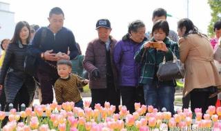 跟我走吧天亮就出发原唱歌词 跟我走吧天亮就出发