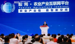 2023年水稻改大豆政策 2023稻谷保护价格多少