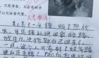 我的爸爸,作文200个字 三年级作文我的爸爸