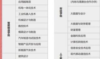 南宁职业技术学院的专业有哪些 南宁市职业技术学院