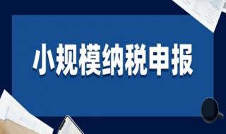 小规模纳税人账务操作流程 小规模纳税人账务处理